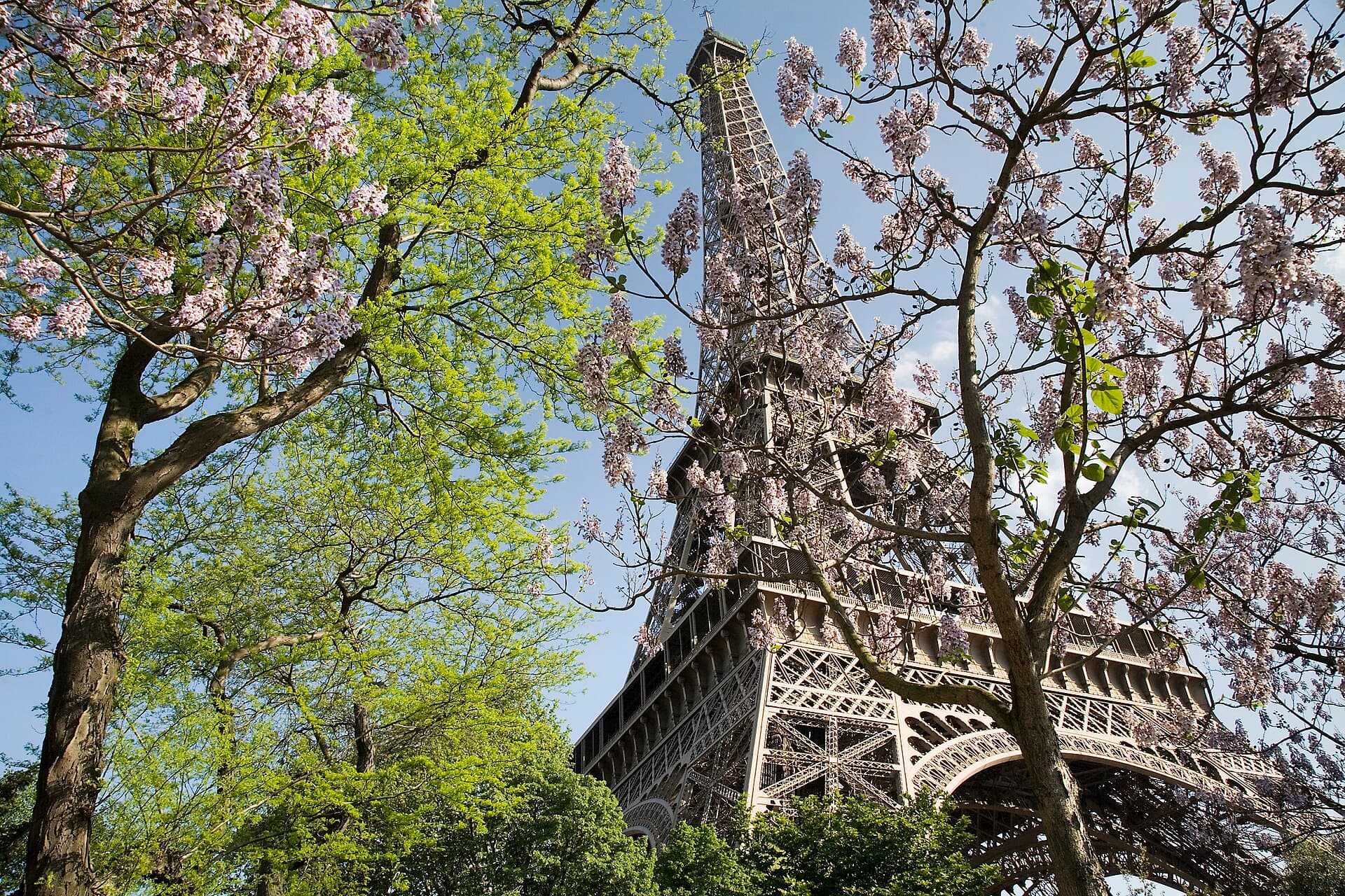 The Eiffel Tower in Paris, France