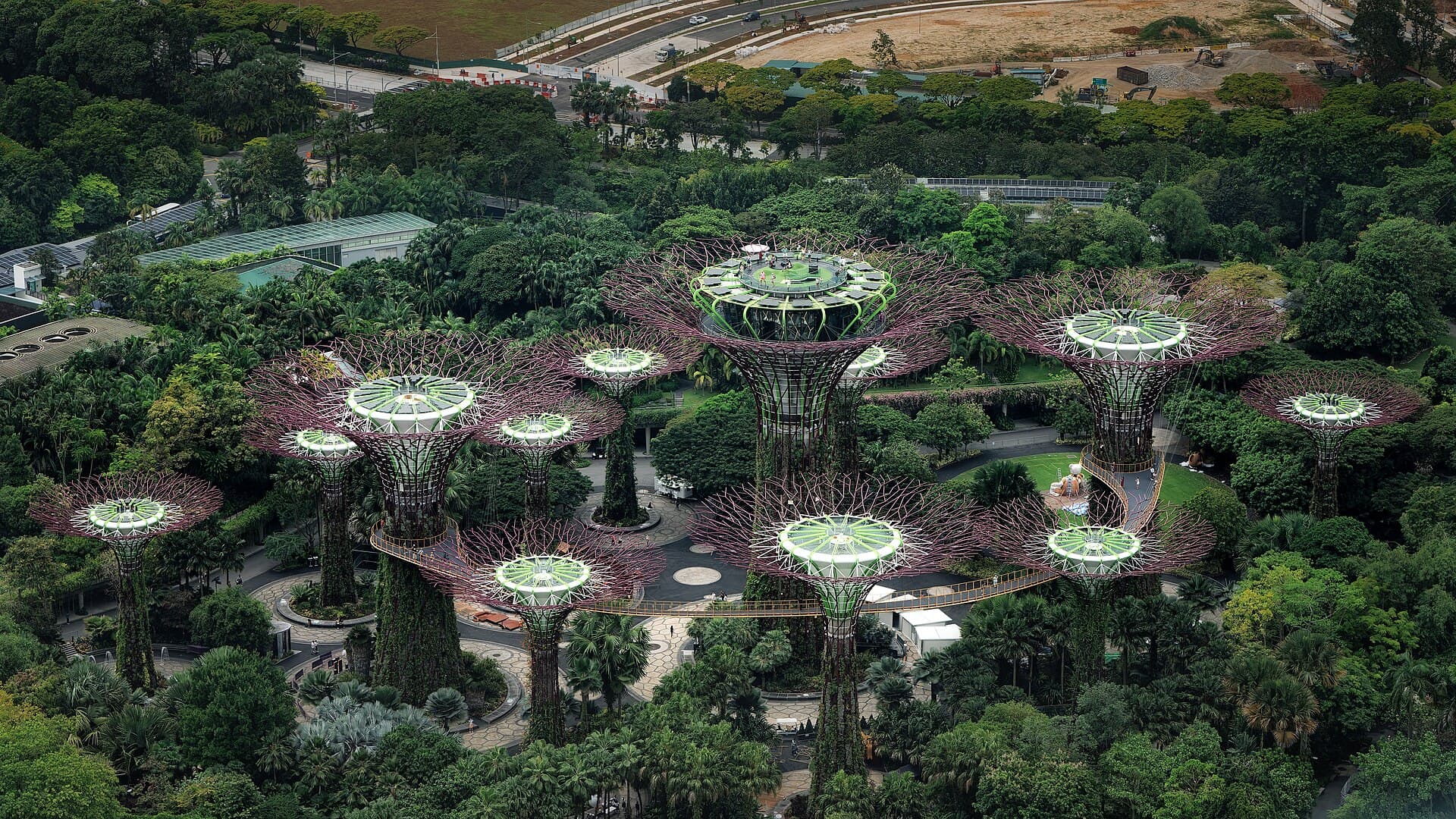 The Supertree Grove at Gardens by the Bay, Singapore